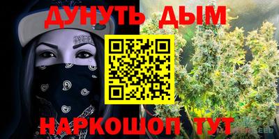 героин Кингисепп