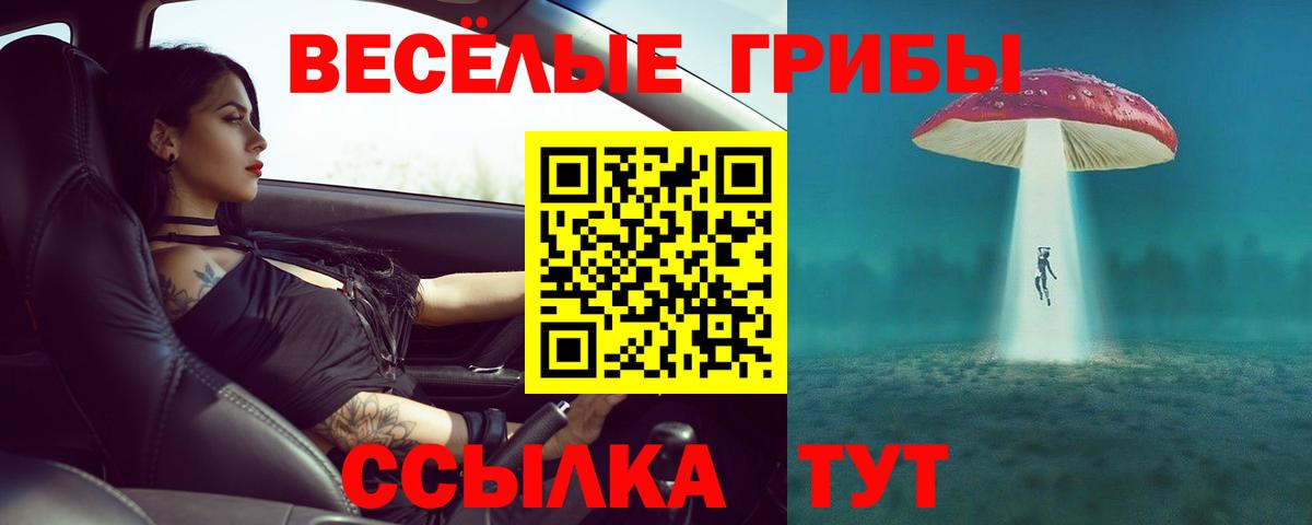Ликино-Дулёво  Галлюциногенные грибы Psilocybine cubensis  Вход с VPN 